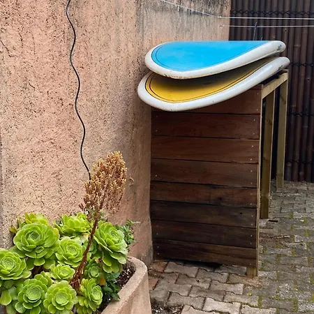 Un Petit Coin De Paradis A La Capte Йер